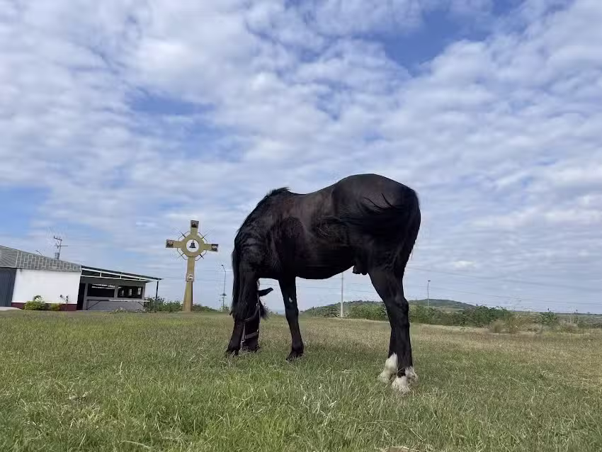 Sagrado Coraz&oacute;n