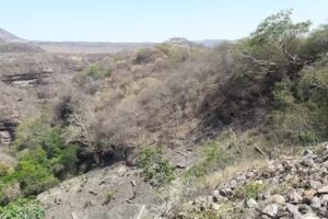 Sagrado Coraz&oacute;n de Jesus