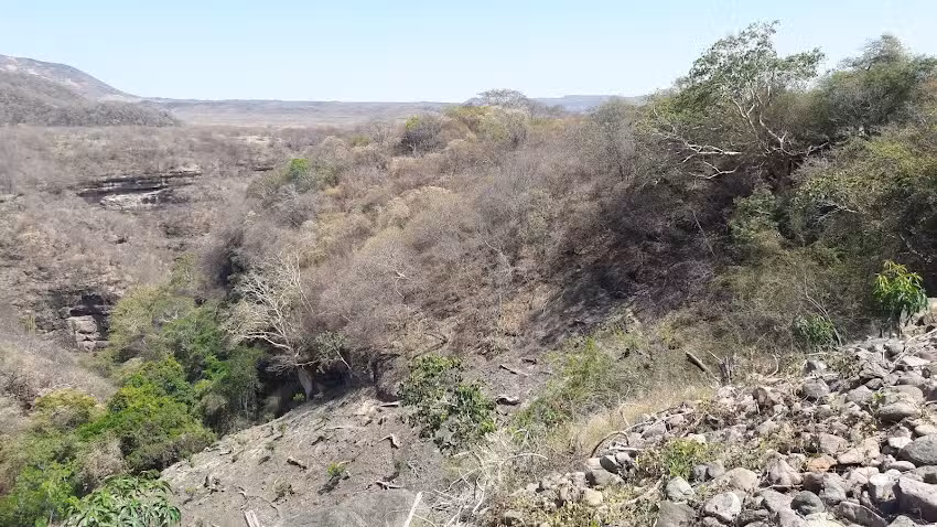 Sagrado Coraz&oacute;n de Jesus