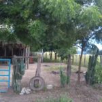 Sagrado Coraz&oacute;n De Jesus