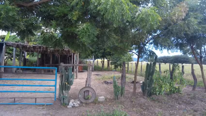 Sagrado Coraz&oacute;n De Jesus