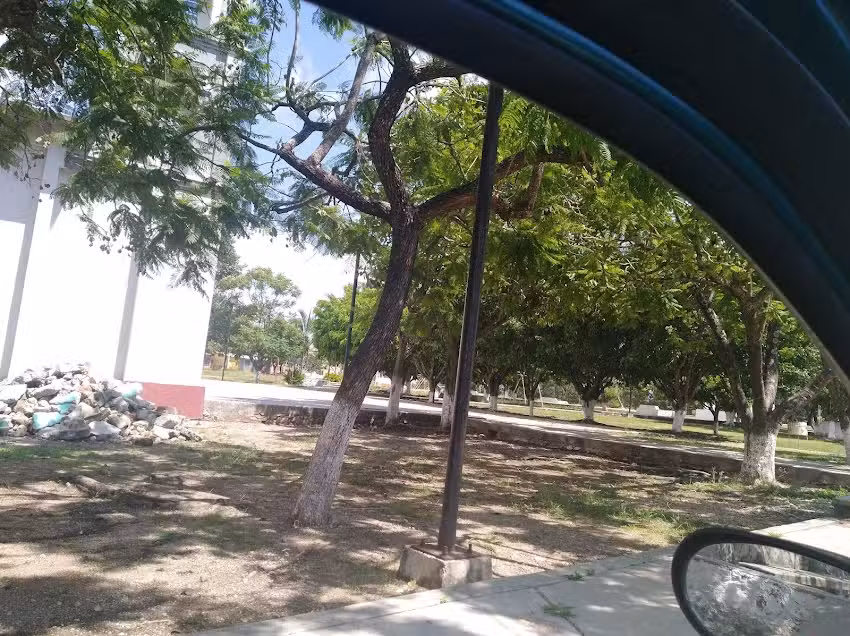 Salon Del Reino De Los Testigos De Jehov&aacute;