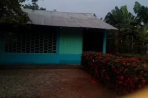 Sal&oacute;n del Reino de los testigos de Jehov&aacute;