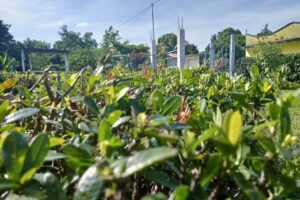 Salon Del Reino De Los Testigos De Jehov&aacute;