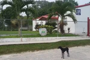 Salon Del Reino De Los Testigos De Jehova