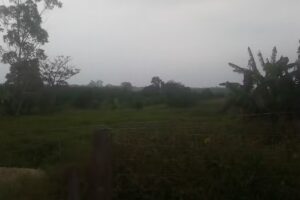 Sal&oacute;n del Reino de los Testigos de Jehov&aacute;