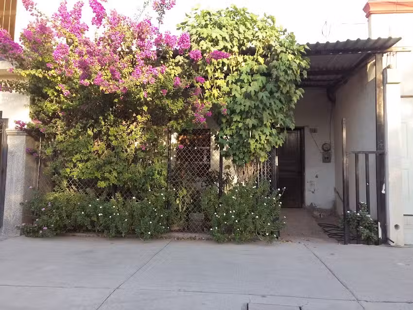 Sal&oacute;n del Reino de los Testigos de Jehov&aacute;