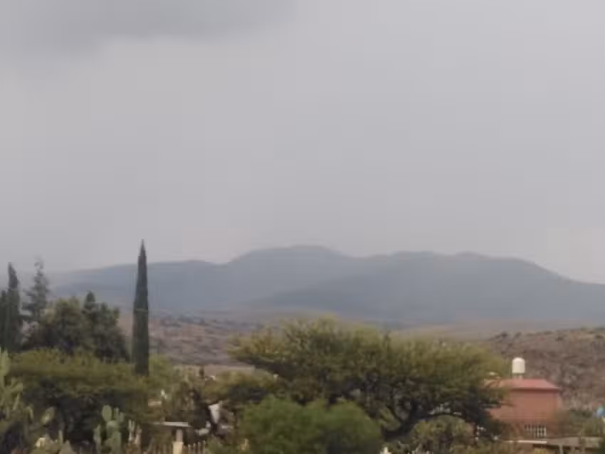 San Buenaventura de asis