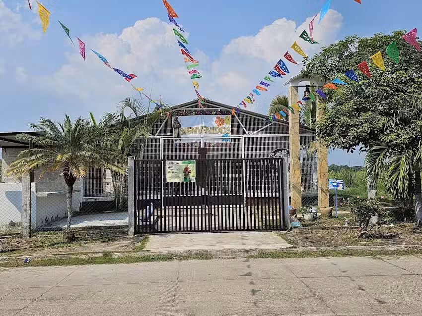 San Francisco de As&iacute;s