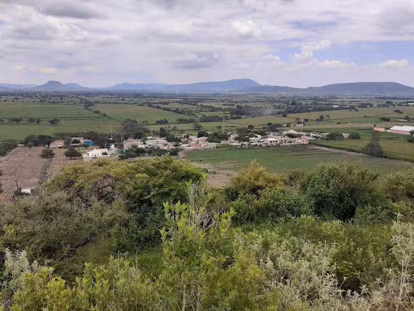 San ignacio del oy&oacute;la