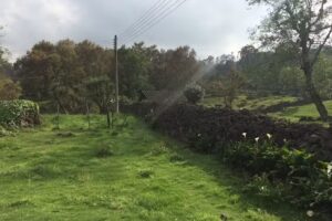 San Jos&eacute; Tlacolulan