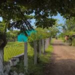 San Martin Caballero