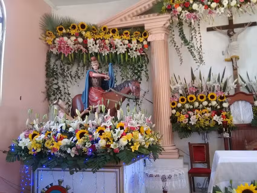 San Mart&iacute;n Palo Solo