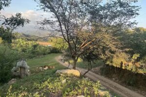 San Miguel Arc&aacute;ngel