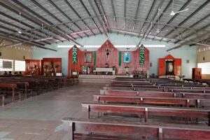 San Nicol&aacute;s de Tolentino