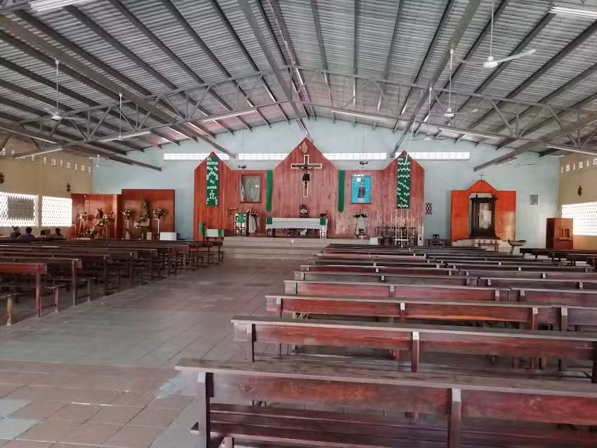 San Nicol&aacute;s de Tolentino