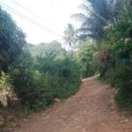 San Sebasti&aacute;n