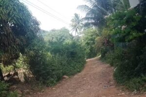 San Sebasti&aacute;n