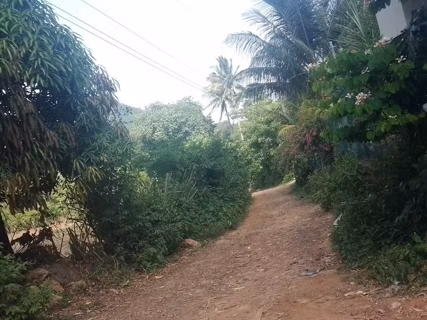 San Sebasti&aacute;n