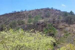 Santa Luc&iacute;a Miahuatl&aacute;n de Porfirio D&iacute;az Oaxaca