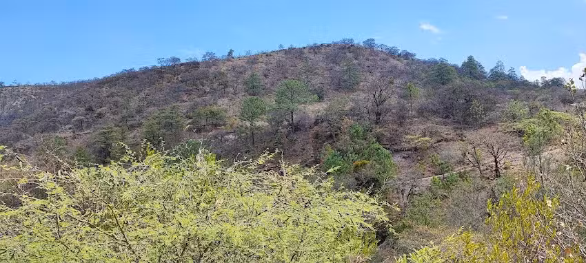 Santa Luc&iacute;a Miahuatl&aacute;n de Porfirio D&iacute;az Oaxaca