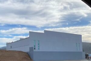 Semilla De Mostaza Ensenada