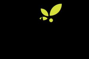 Semilla de Mostaza Quer&eacute;taro