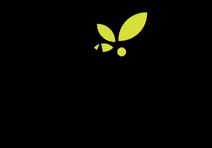 Semilla de Mostaza Quer&eacute;taro