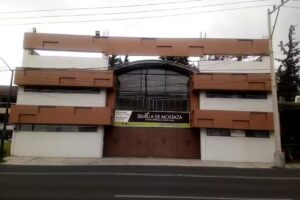 Semilla de Mostaza Toluca