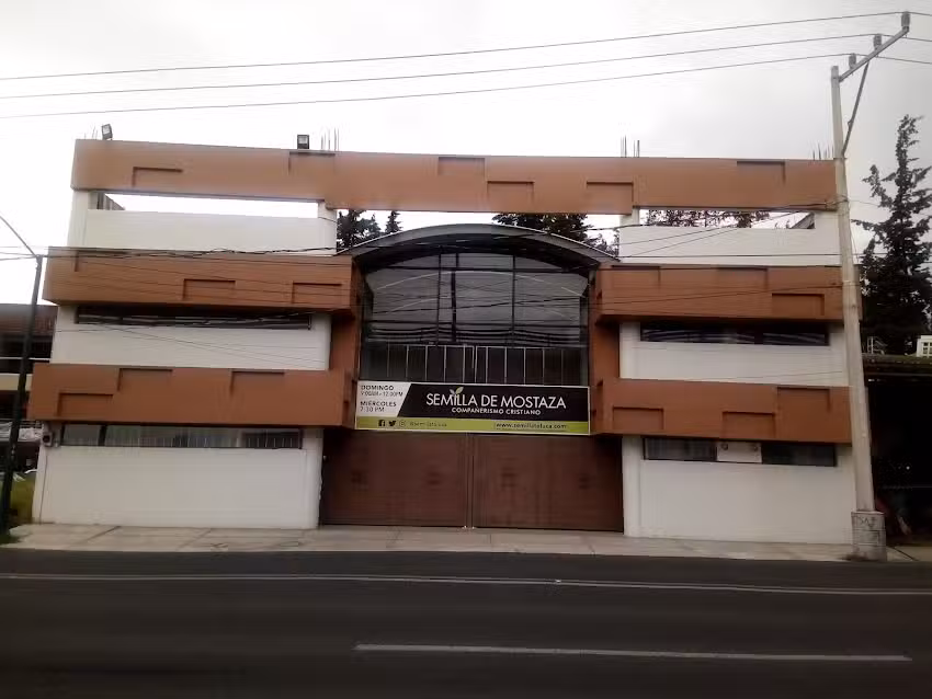 Semilla de Mostaza Toluca