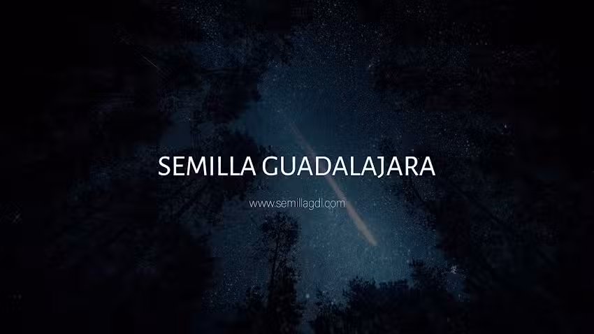 Semilla en Guadalajara