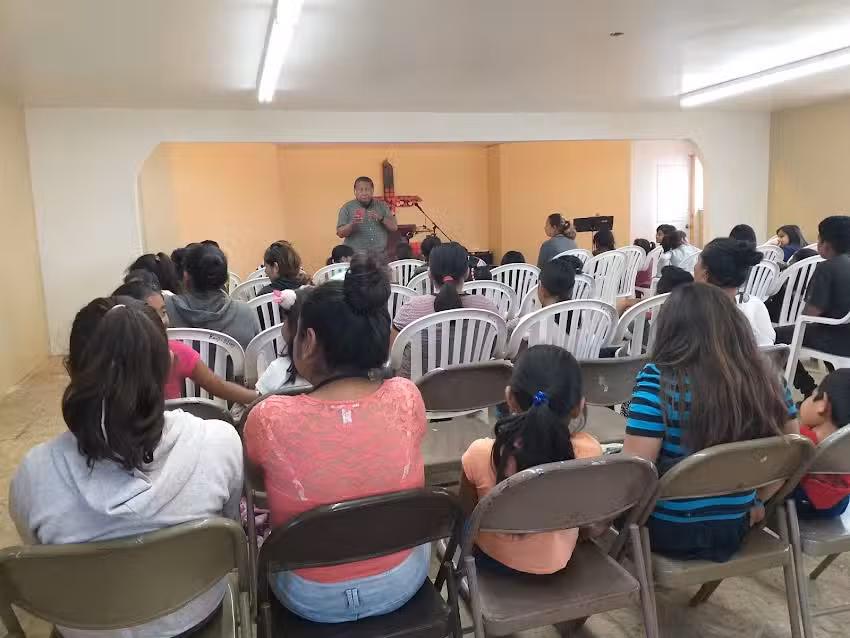 Semillas De Mostaza San Rafael