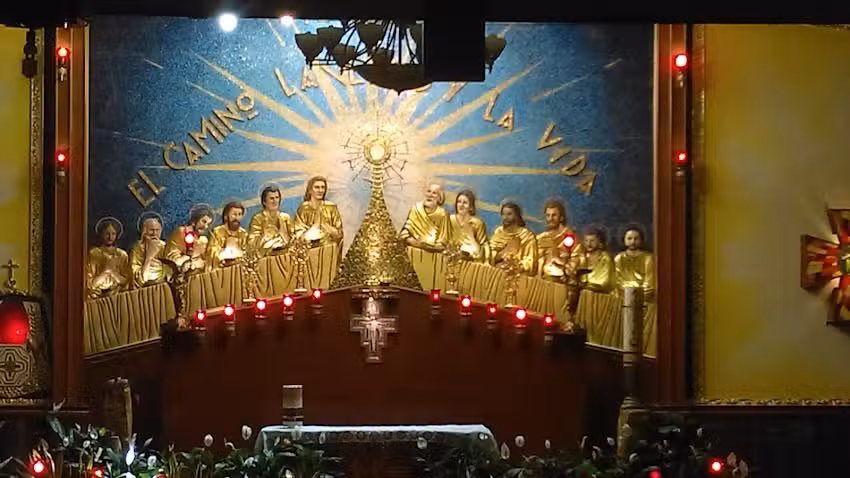 Se&ntilde;or de la Misericordia