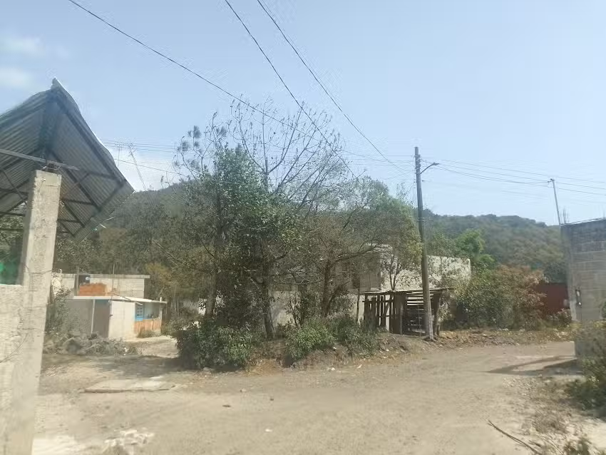 Se&ntilde;or de la Misericordia