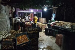 SE&Ntilde;OR DE LA SALUD