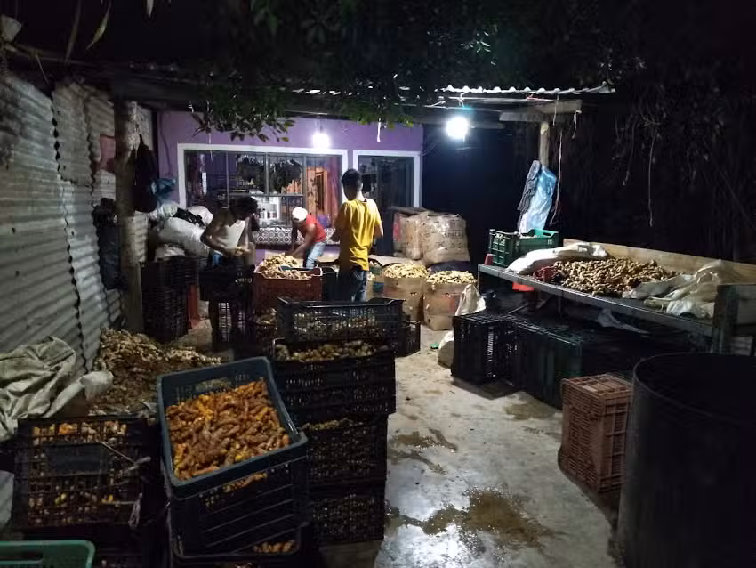 SE&Ntilde;OR DE LA SALUD