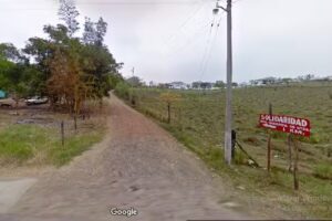 SOLIDARIDAD (CHINAMPA NUMERO UNO)