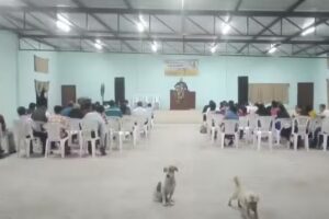 Templo Bautista Monte De Sion