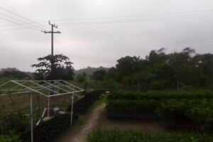 Templo Bethesda Seguidores de Jesucristo