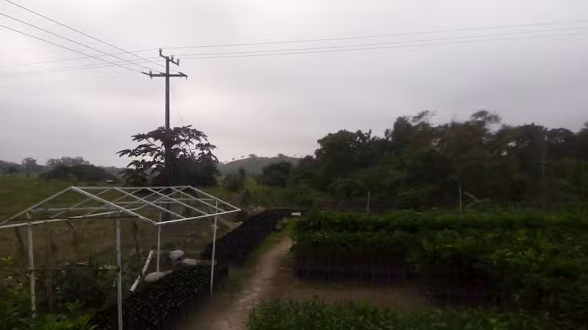 Templo Bethesda Seguidores de Jesucristo