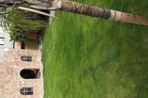 Templo cristiano “ven señor Jesús”