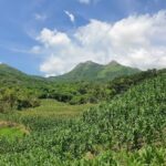 Templo de los testigos de Jehov&aacute;