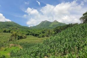 Templo de los testigos de Jehov&aacute;