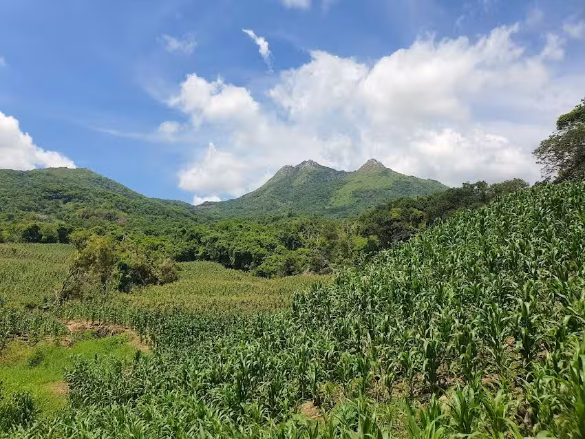 Templo de los testigos de Jehov&aacute;