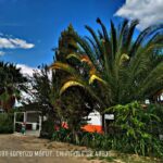 Templo de San Lorenzo M&aacute;rtir