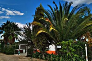 Templo de San Lorenzo M&aacute;rtir