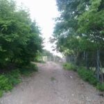 Templo de San Marcos