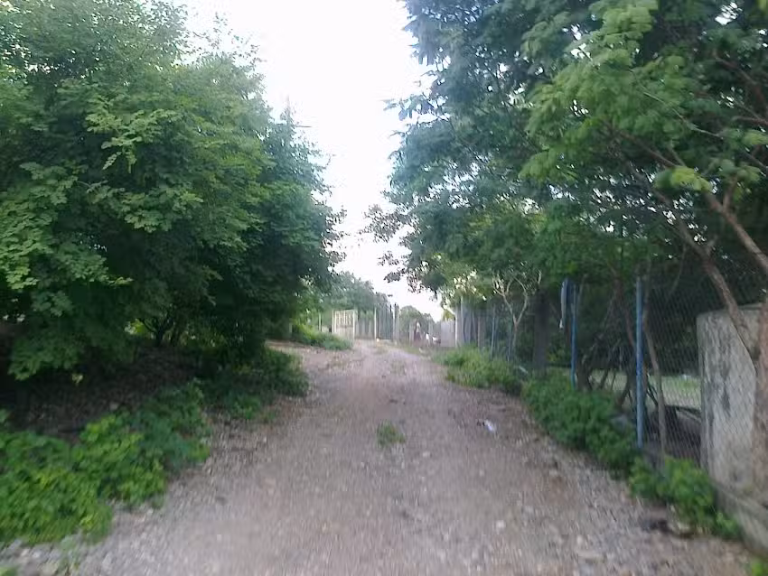 Templo de San Marcos