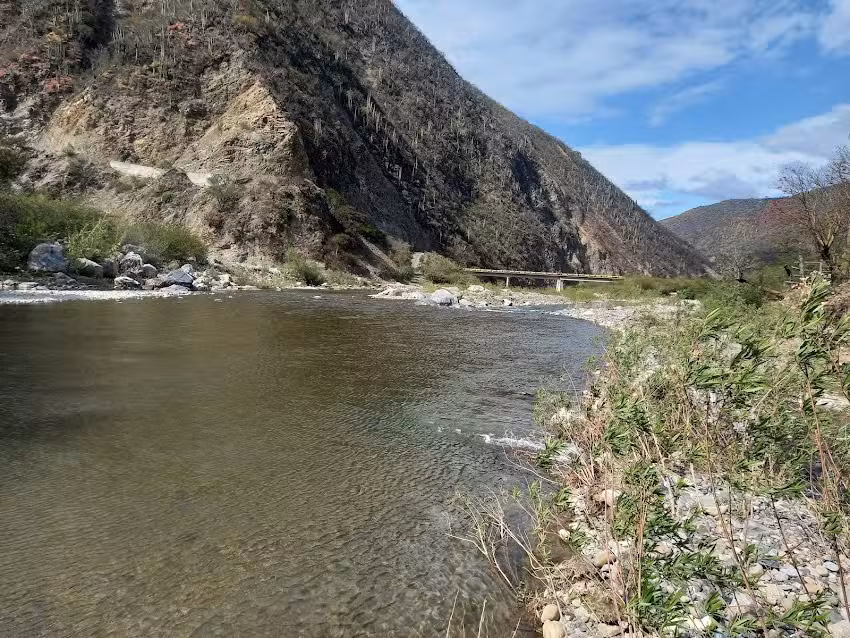 Templo de San Miguel Arc&aacute;ngel, Abejones