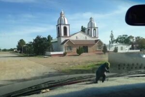 Templo de Santa Clara